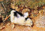 John Ruskin's dead chick by William Holman Hunt
